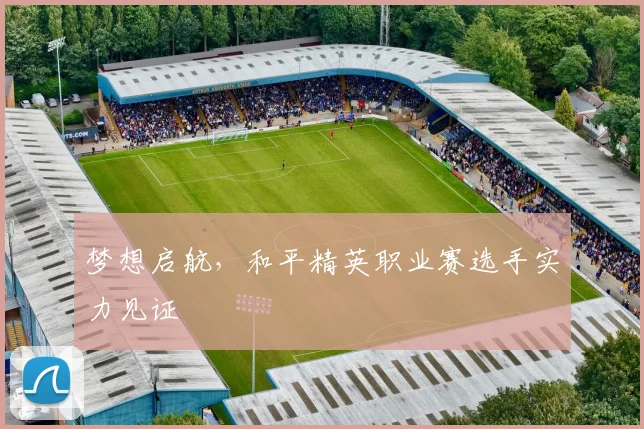 梦想启航，和平精英职业赛选手实力见证